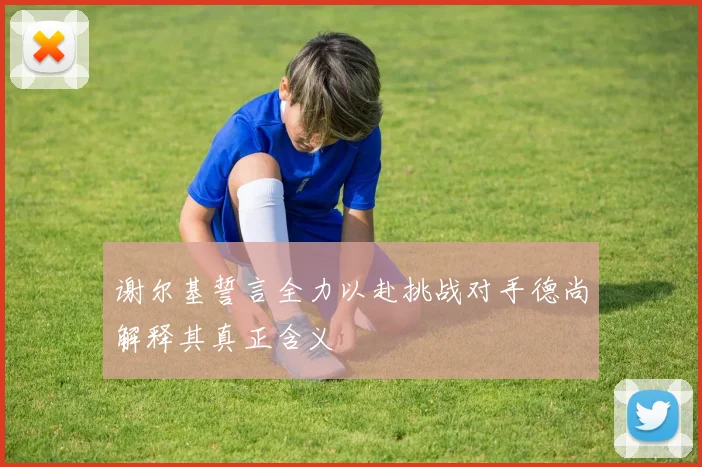 谢尔基誓言全力以赴挑战对手德尚解释其真正含义